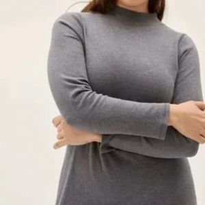NWOT Everlane Cotton Mockneck Dress
